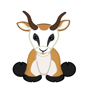 Springbok