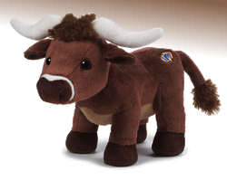 Longhorn Steer