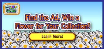 Complete Your Collection!