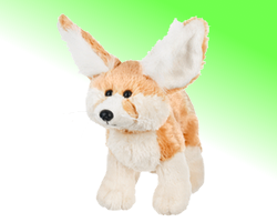 Fennec Fox