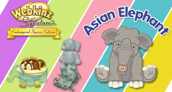 webkinz asian elephant