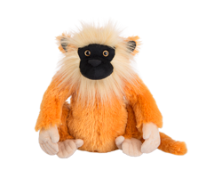 webkinz squirrel monkey