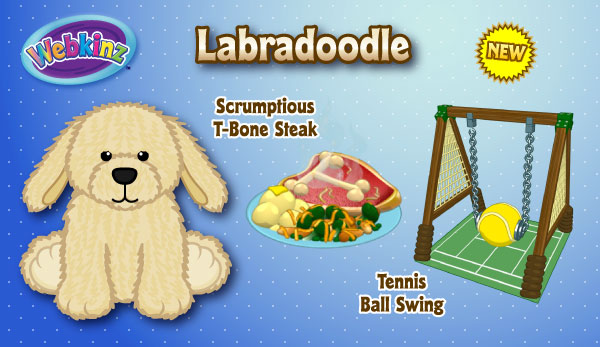 Webkinz labradoodle shop