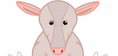 Aardvark Aardvark