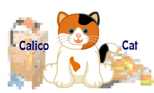 calicosneakeewtwerqdcfeature