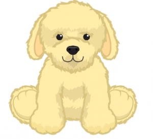 labradoodle