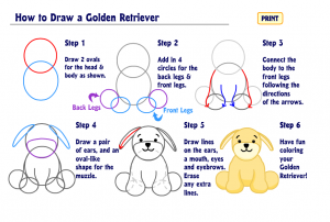 How to draw a Golden Retriever