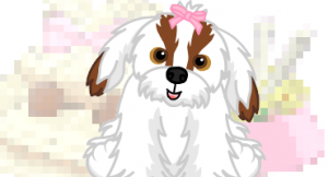 shihtzusneakfeature