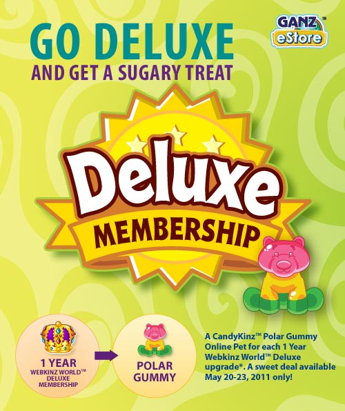 Webkinz 1 year deluxe membership program