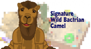 bactriancamelfeature bactriancamelfeature