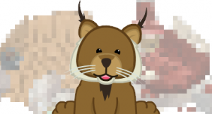 lynxfeature