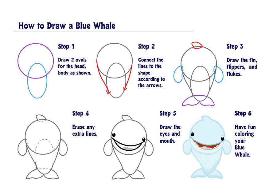 Learn How To Draw A Blue Whale Wkn Webkinz Newz