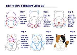 HTDCalicoCat9