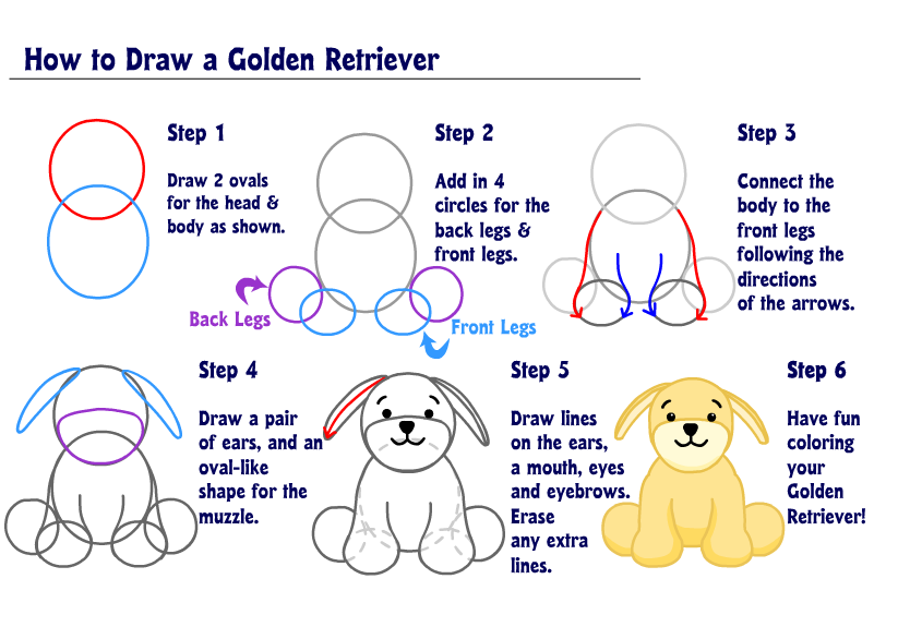 how to draw a golden retriever mix