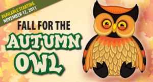 Autumn-Owl-Ad_feat