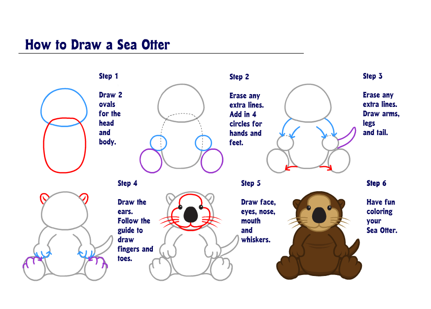 how to draw a sea otter