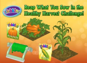 HarvestChallenge