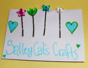 SalleysCraft SalleysCraft