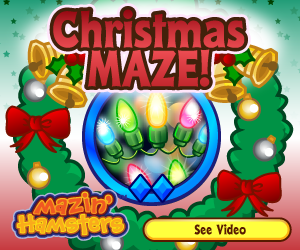 R1_MH_Christmas_Maze