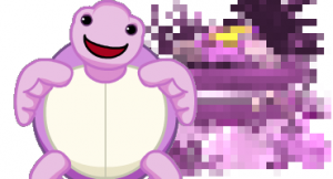 blossomturtle-feature blossomturtle-feature