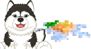 signaturesiberianhusky-feature signaturesiberianhusky-feature