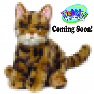 Bengal Cat WKN Coming Soon