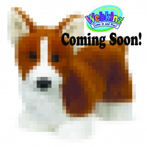 Corgie WKN Coming Soon