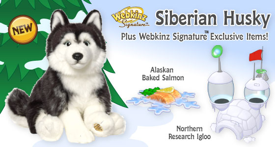 webkinz signature siberian husky