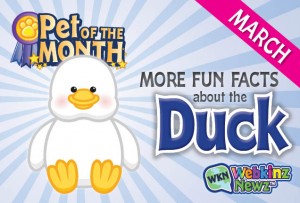 DcukFF2 DcukFF2