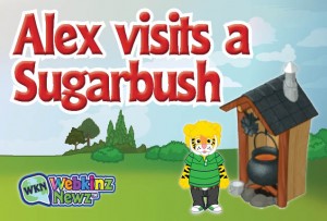Sugarbush