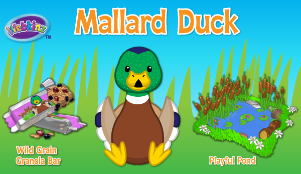 Mallard Duck | WKN: Webkinz Newz