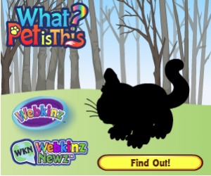 What Pet Is This? 3 Featured