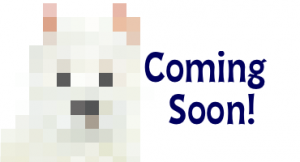 westhighlandterrier-feature