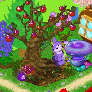 purple webkinz