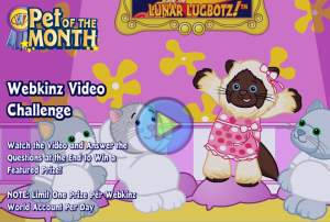 intro_screen_himalayan_cat_720x486 intro_screen_himalayan_cat_720x486