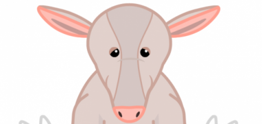 webkinz aardvark