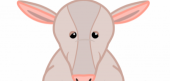 Aardvark