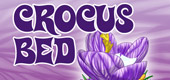 2013-wknz-feat-www-crocus