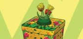 Spring_Clothing_Line_Box Spring_Clothing_Line_Box