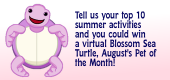blossomseaturtle-feature blossomseaturtle-feature