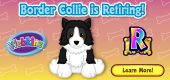Border Collie Retiring Feat Border Collie Retiring Feat