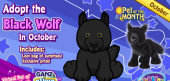 black_wolf_potm