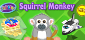 squirrel_monkey