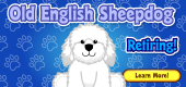 Old English Sheepdog Retirement