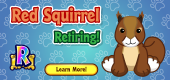 Red Squirrel Retirement feat Red Squirrel Retirement feat