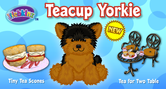webkinz teacup yorkie