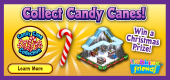 Collect Candy Canes in Webkinz Friends Collect Candy Canes in Webkinz Friends