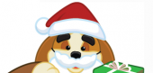2013 Santakinz Gifts