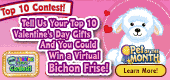 Bichon_Frise_POTM_Contest.F1 Bichon_Frise_POTM_Contest.F1