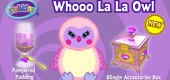 whooolalaowl whooolalaowl